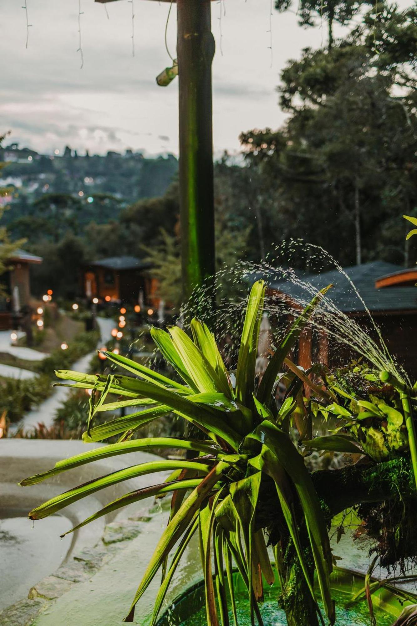 Pousada Chales Da Mantiqueira - Campos Do Jordao Ngoại thất bức ảnh